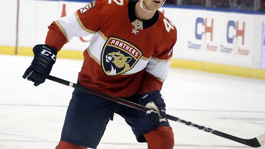 Florida panthers