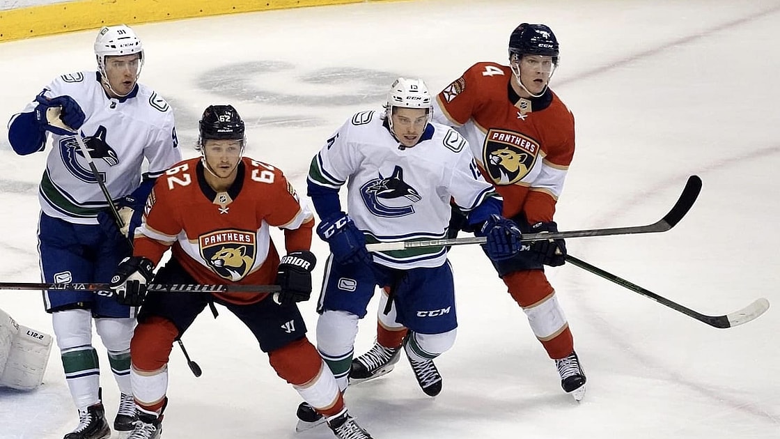 Florida panthers