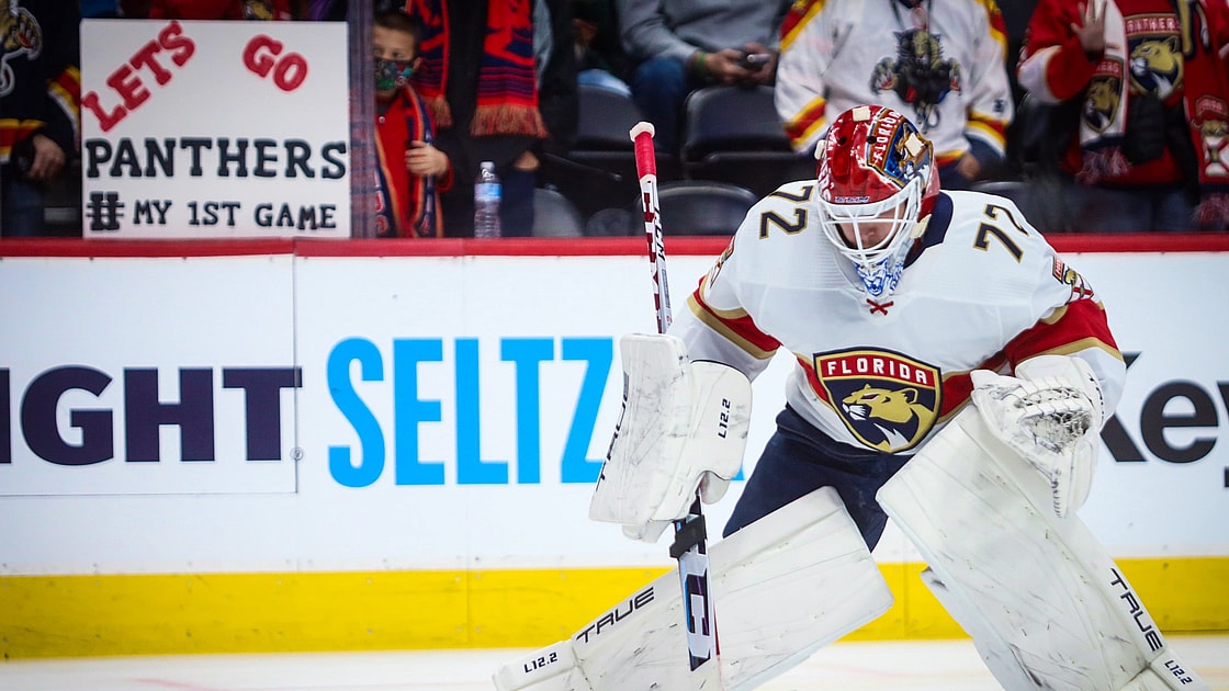 Florida panthers