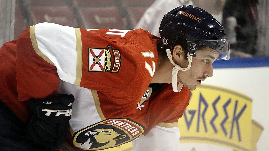 Florida panthers