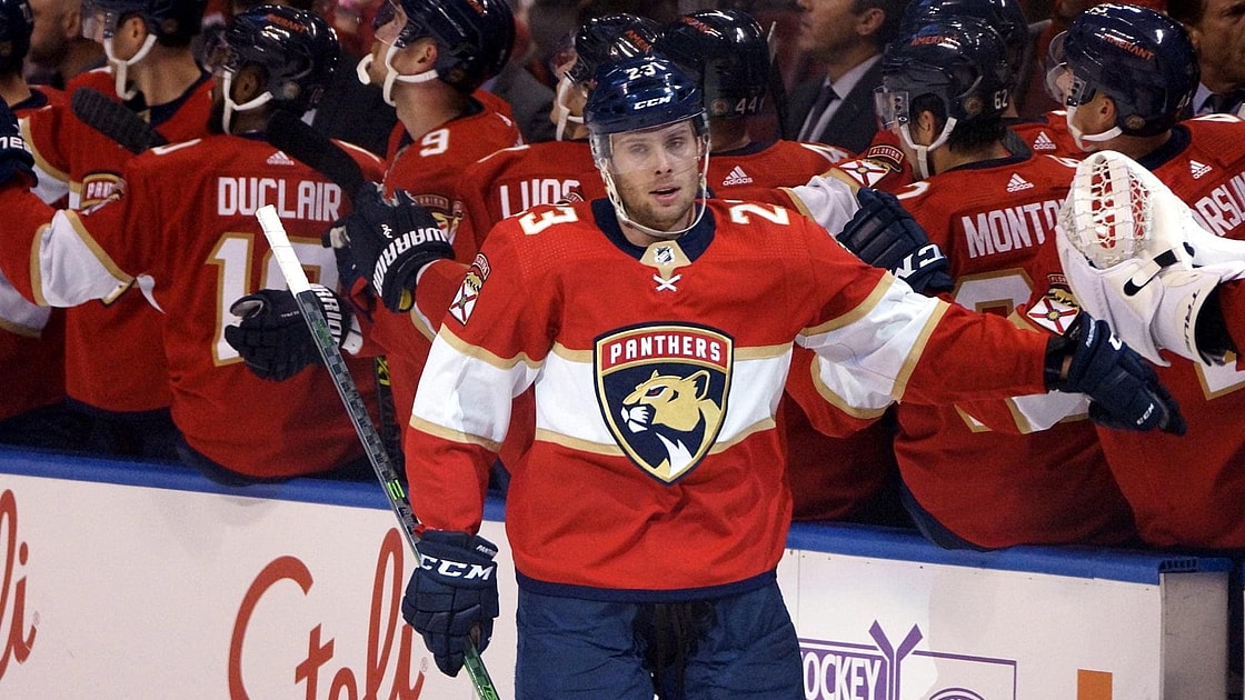 Florida panthers
