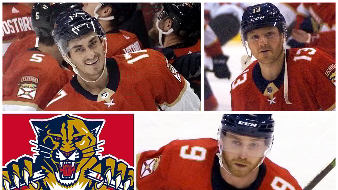 Florida panthers