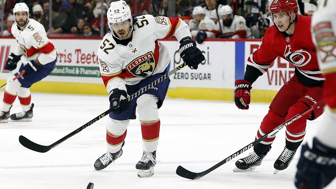 Flames panthers weegar