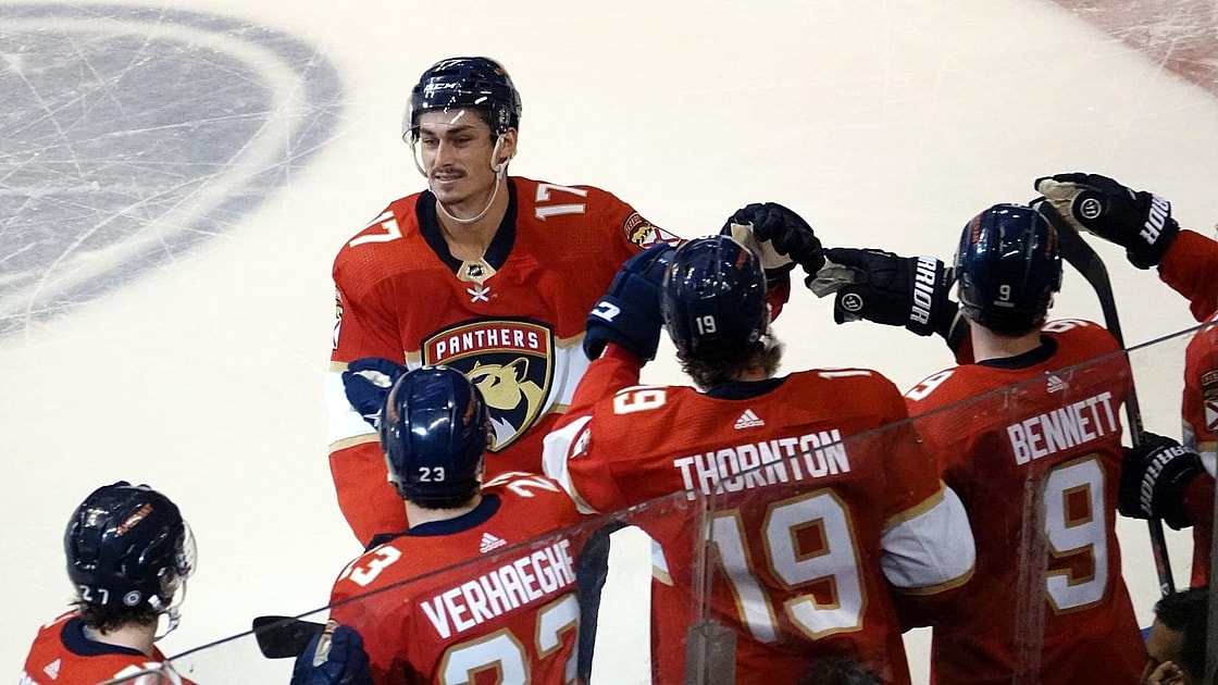 Florida panthers