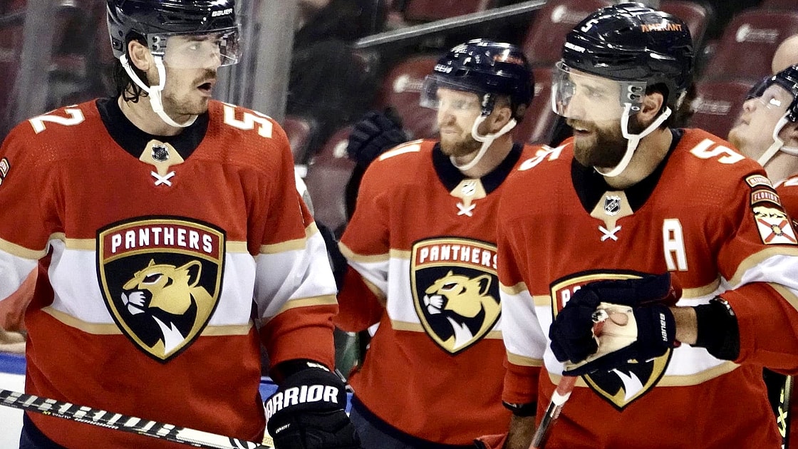 Florida panthers
