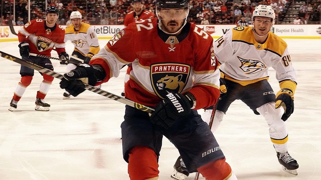 Florida panthers