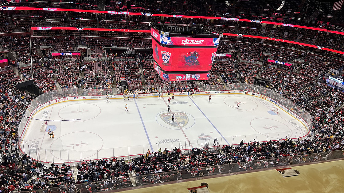 Florida panthers