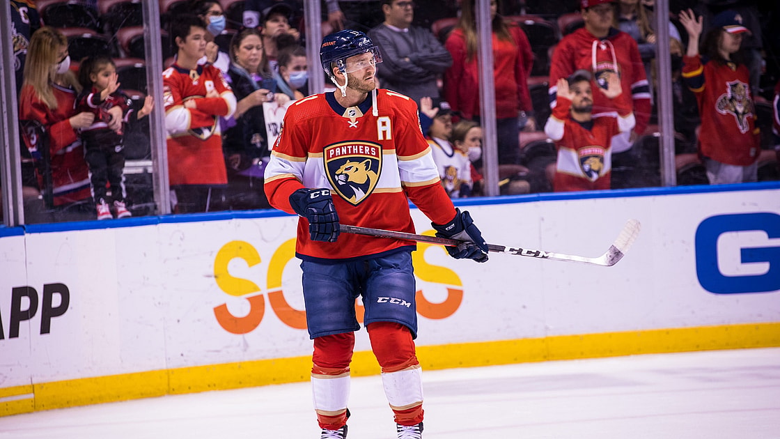 Florida panthers