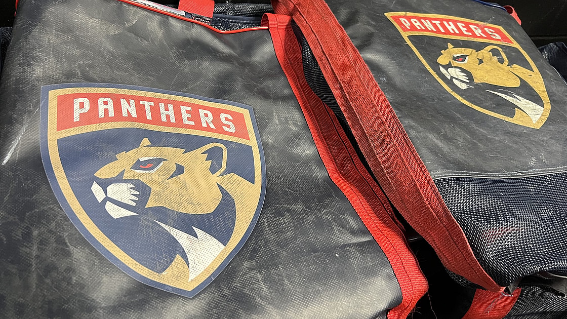 Florida panthers