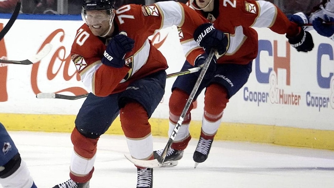 Florida panthers