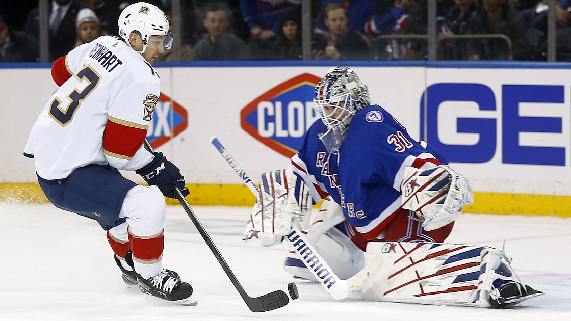 Florida panthers