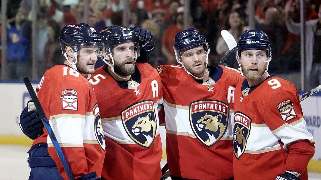 Florida panthers