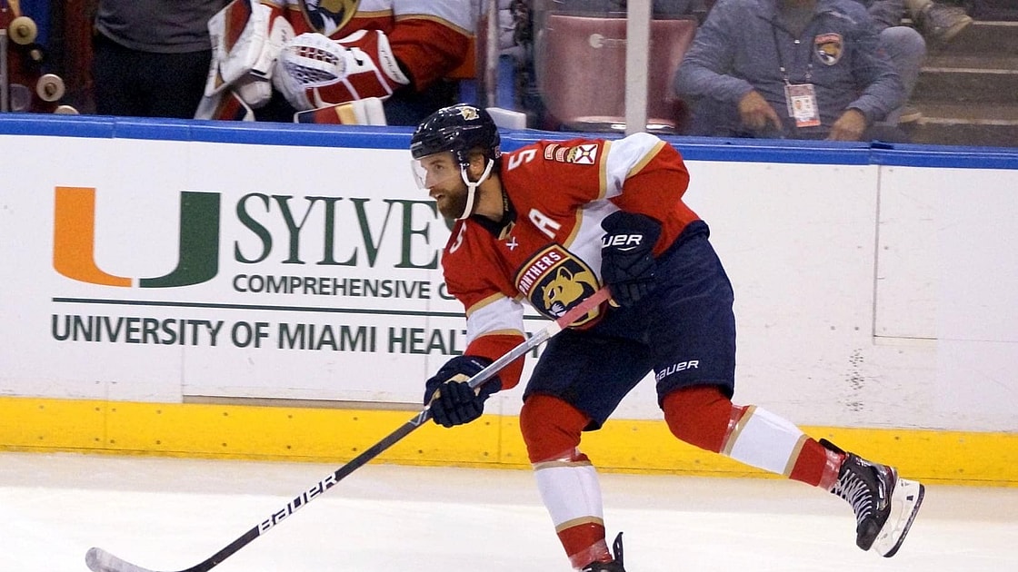 Florida panthers