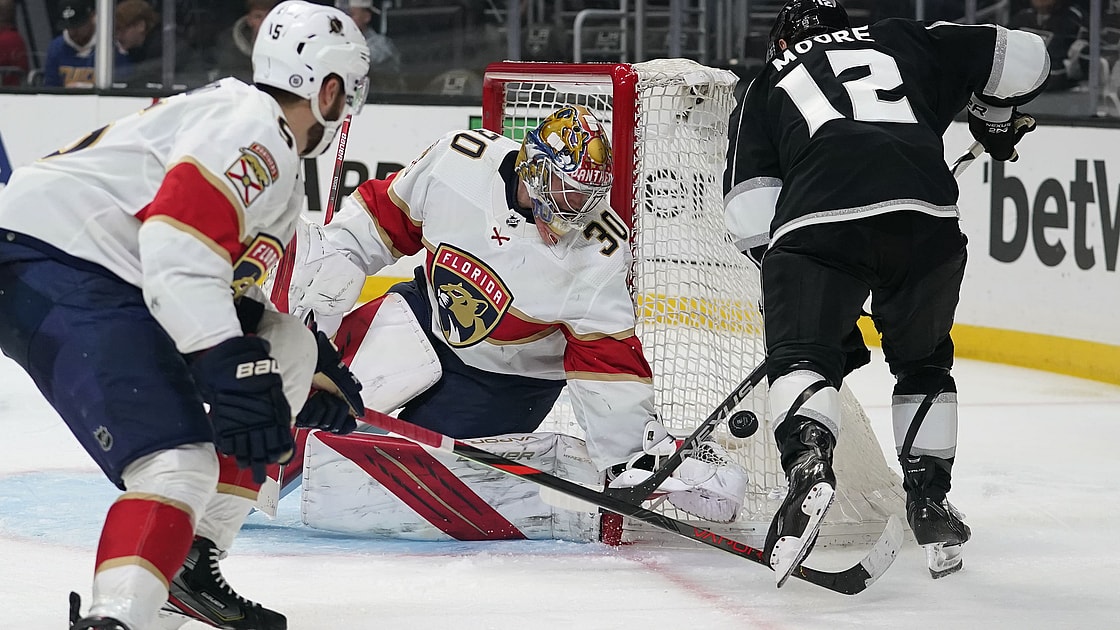 Florida panthers