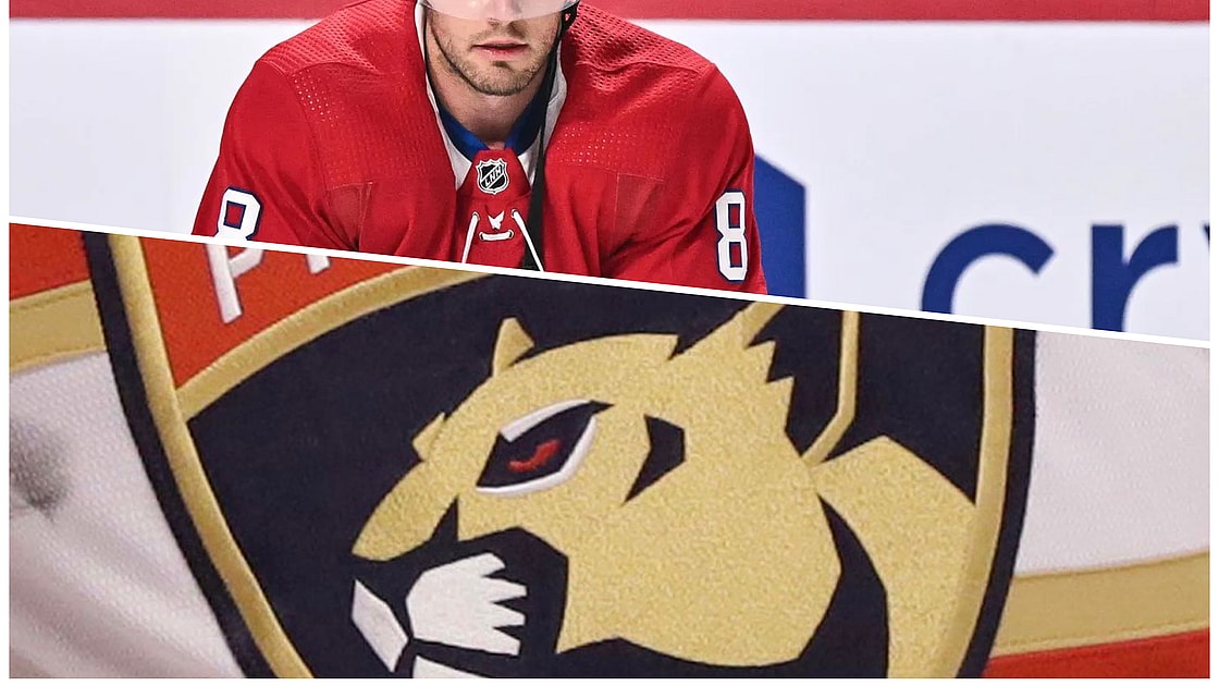 Florida panthers