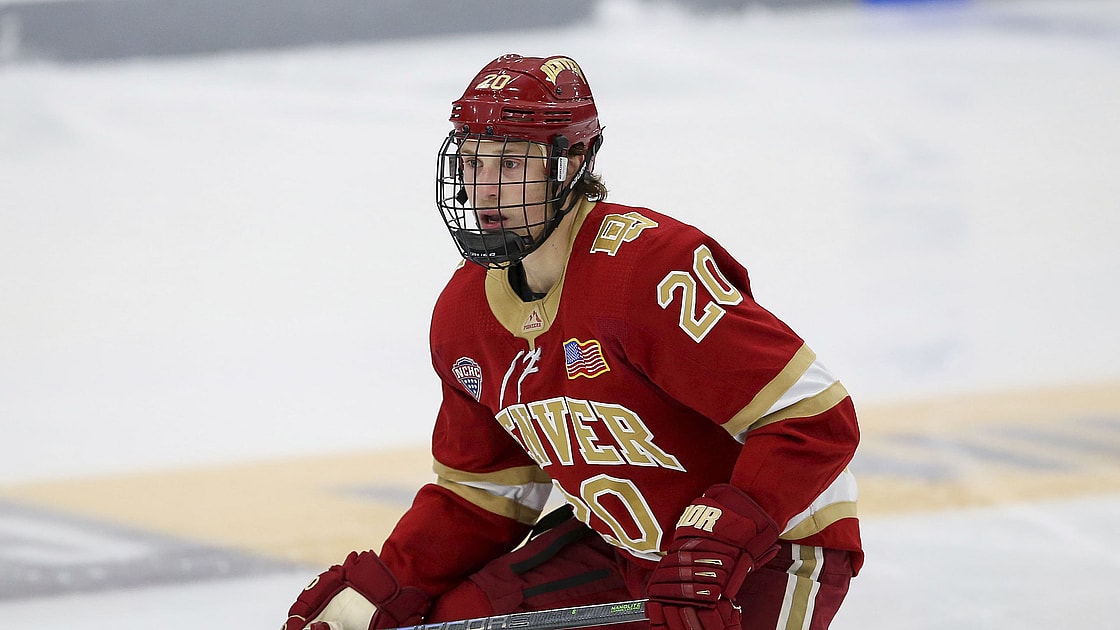 Florida panthers