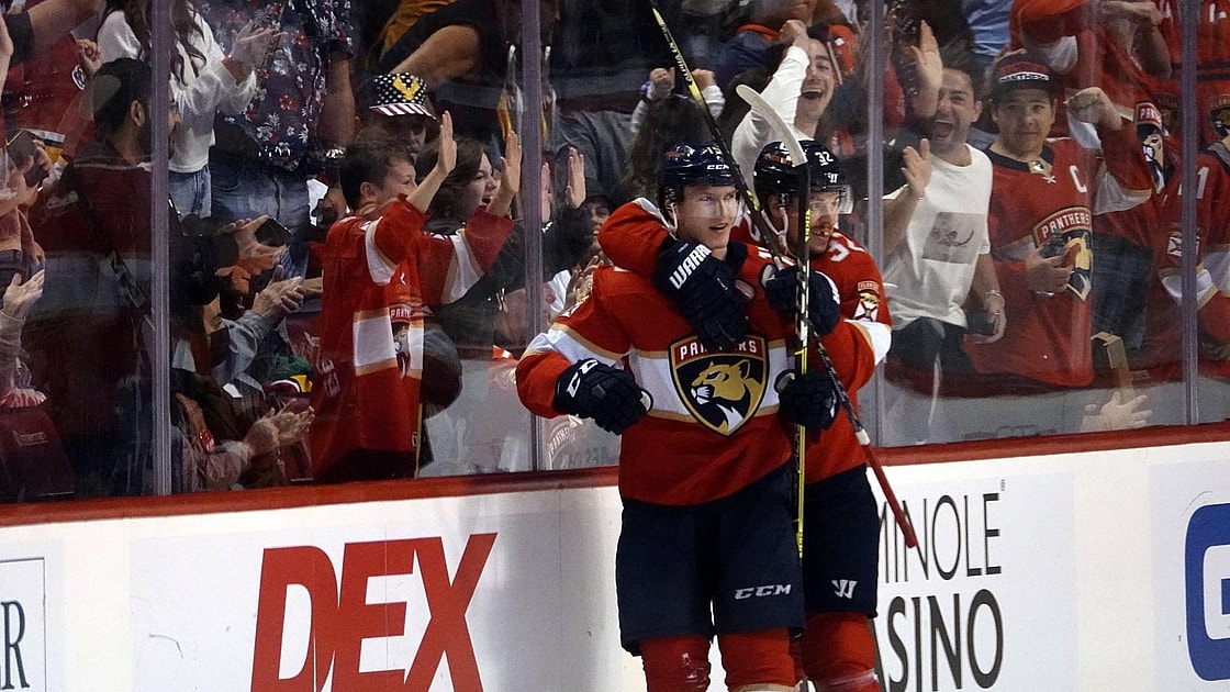 Florida panthers
