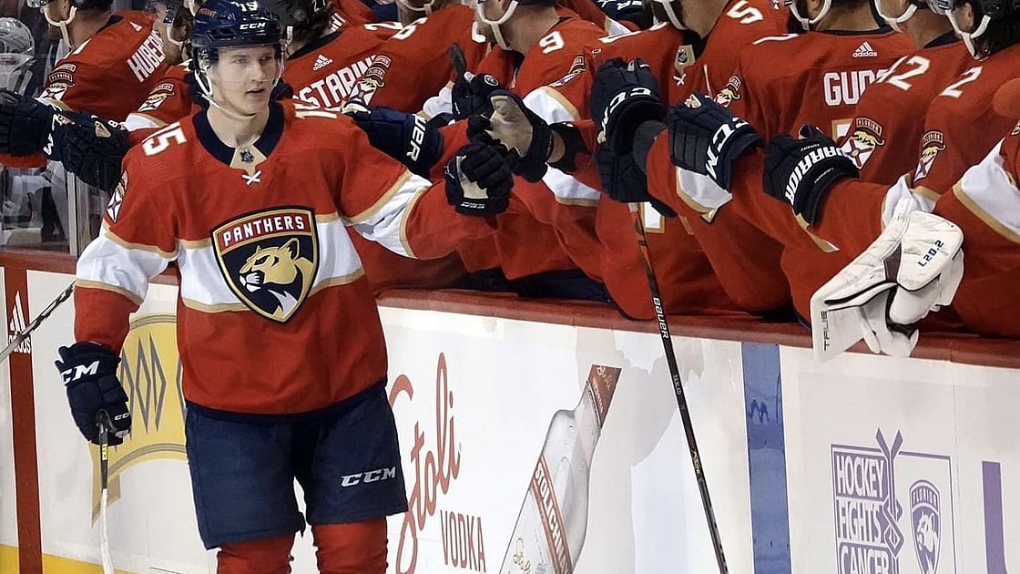 Florida panthers