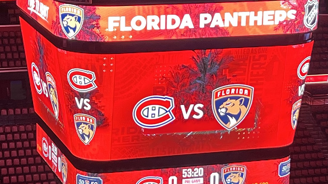 Florida panthers