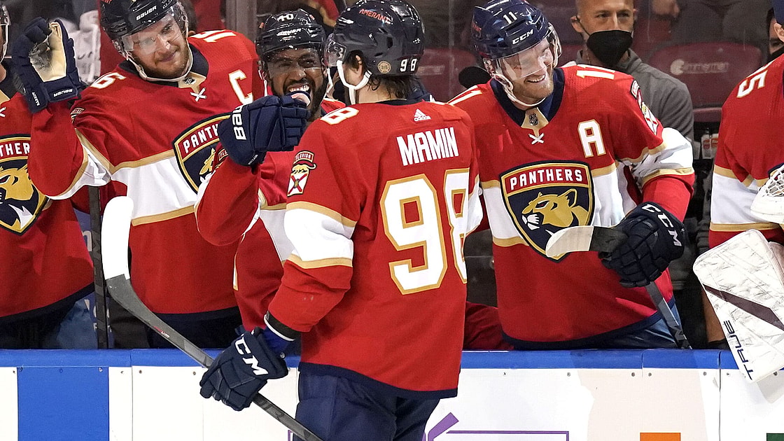 Florida panthers duclair