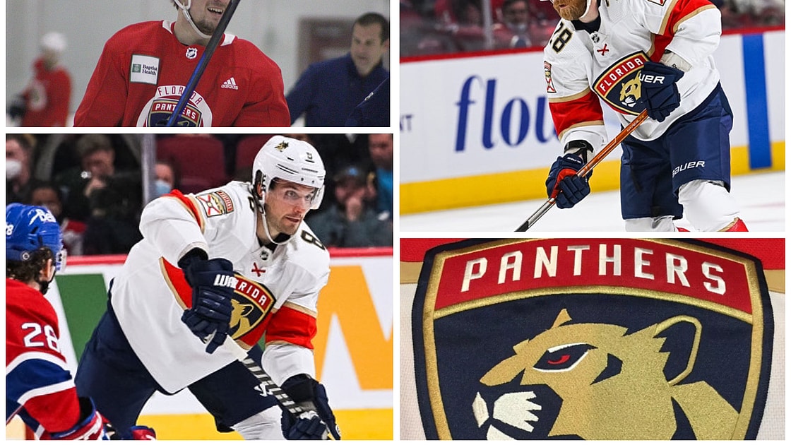 Florida panthers