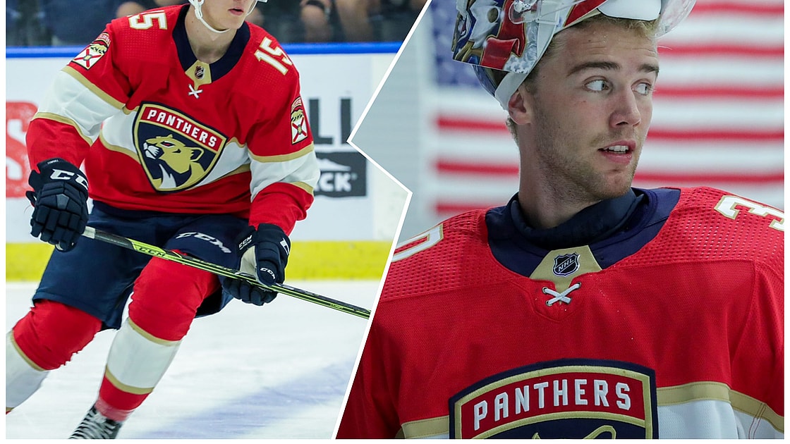 Florida panthers