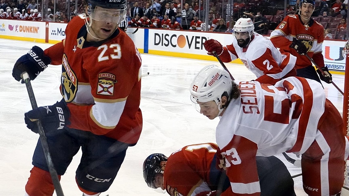 Florida panthers
