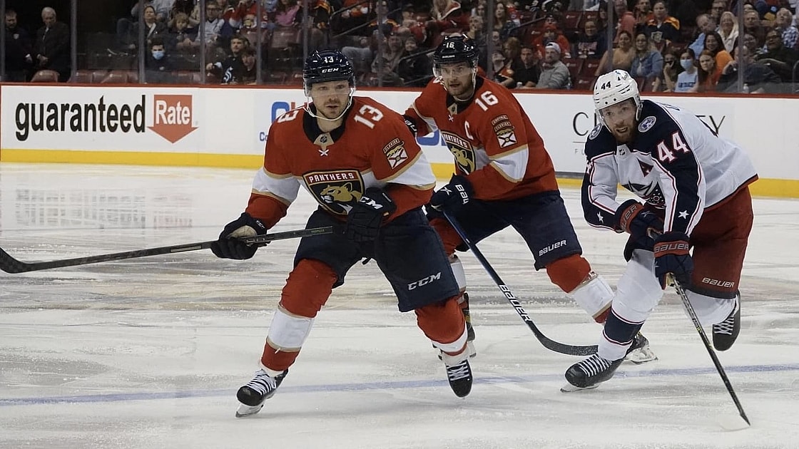 Florida panthers