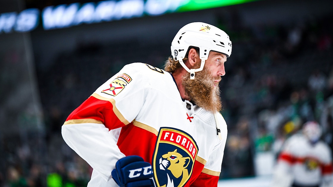 Florida panthers