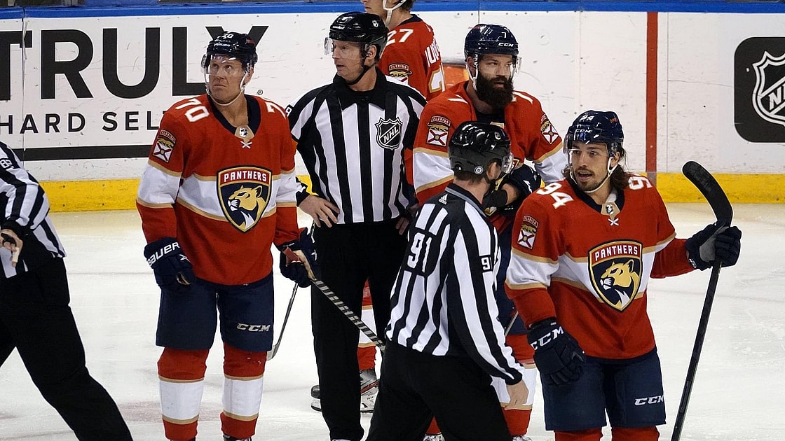 Florida panthers