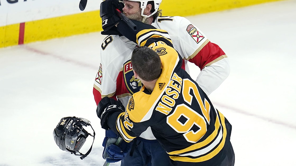 Florida panthers