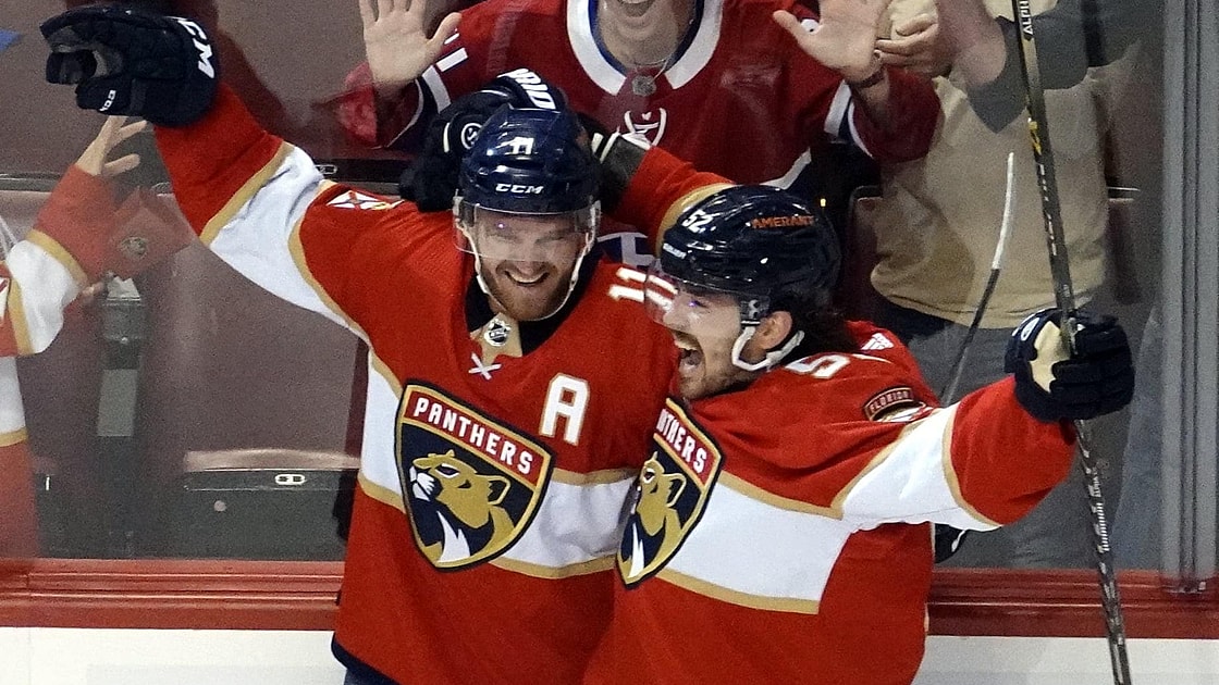 Florida panthers
