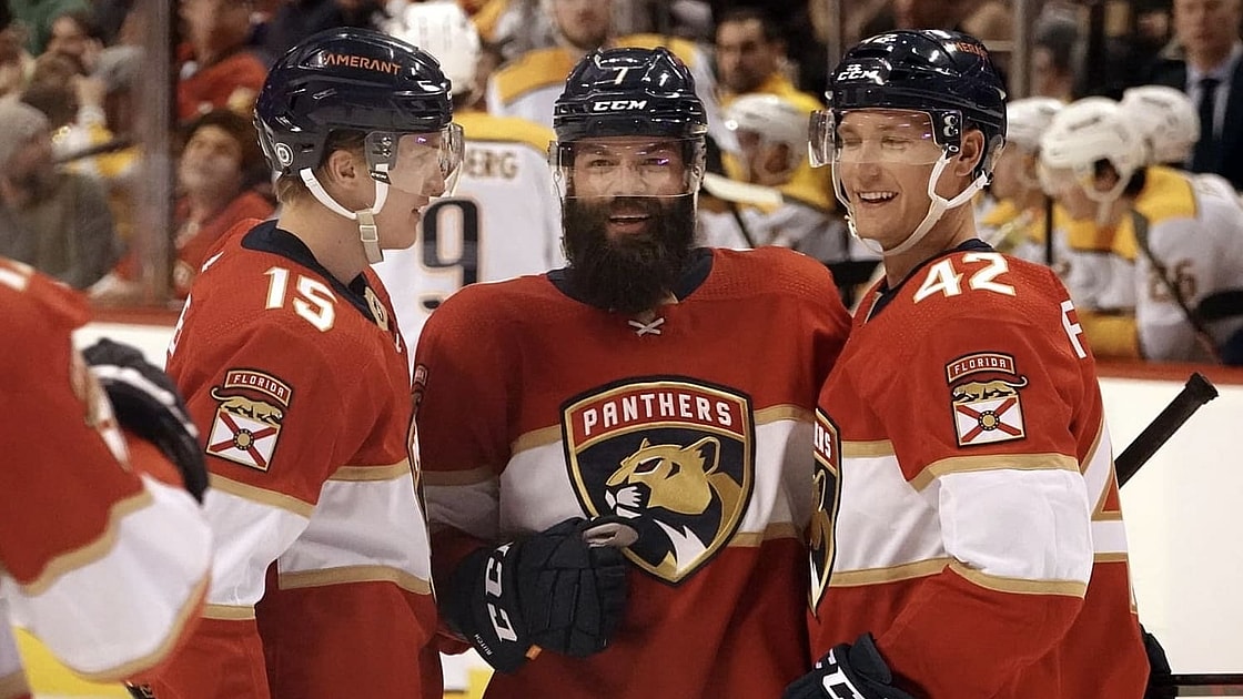 Florida panthers