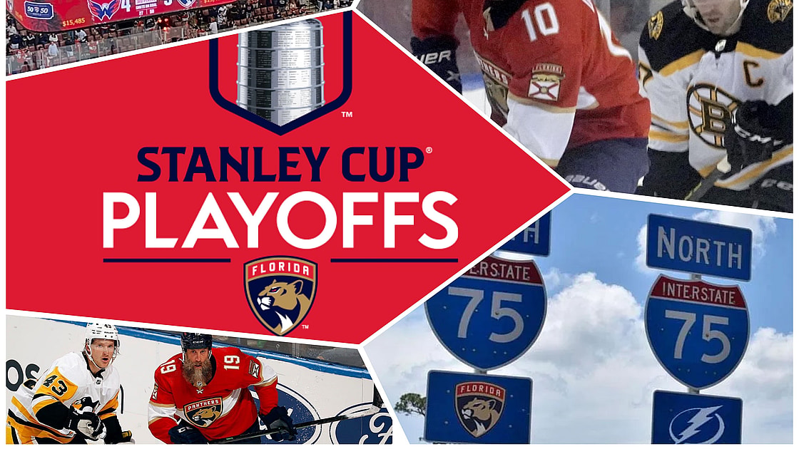 Florida panthers