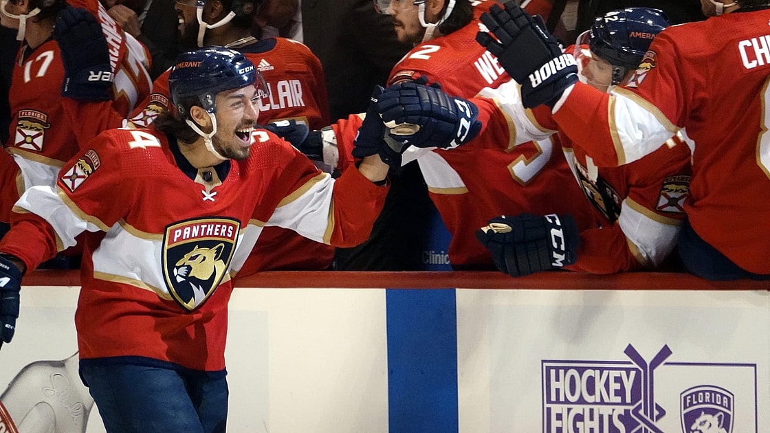 Florida panthers