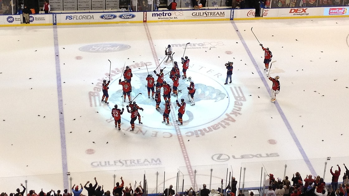 Florida panthers