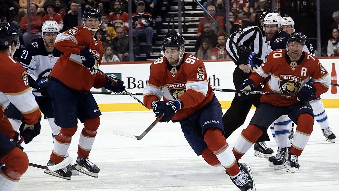Florida panthers