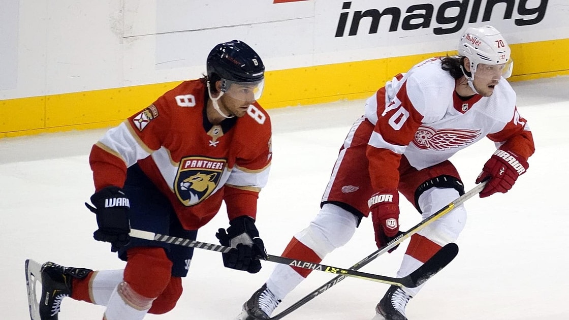 Florida panthers