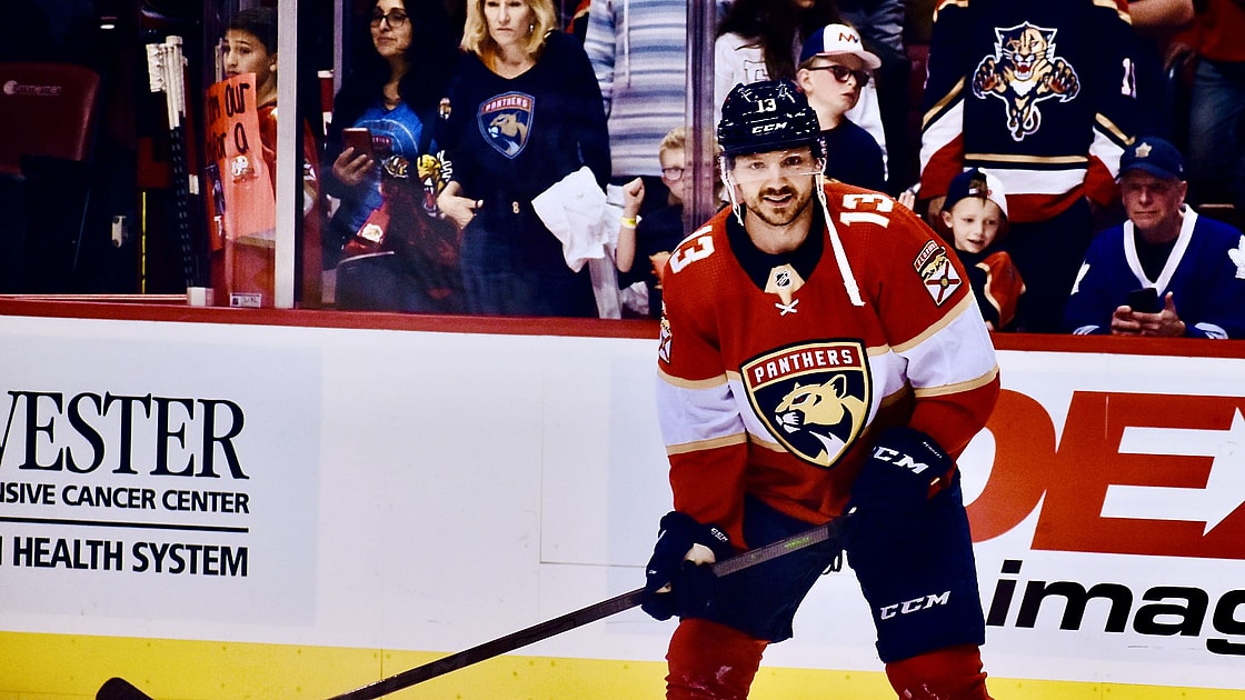 Florida panthers