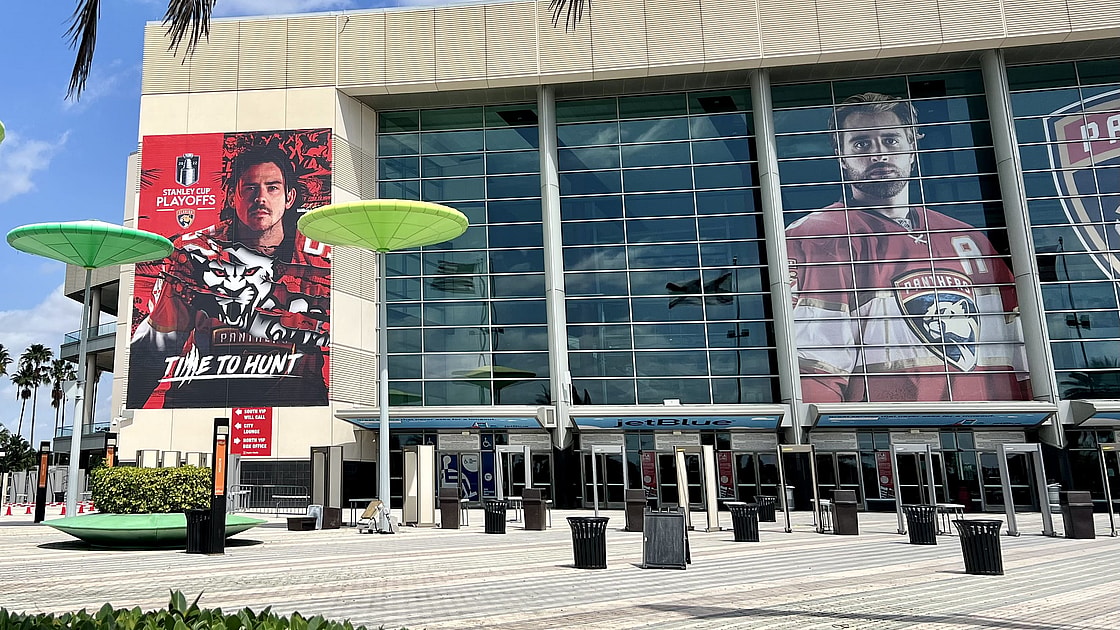 Florida panthers