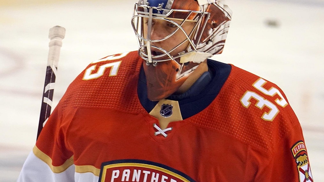 Florida panthers