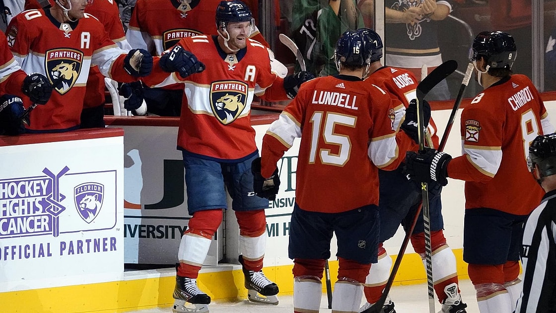 Florida panthers