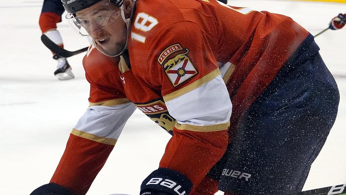 Florida panthers