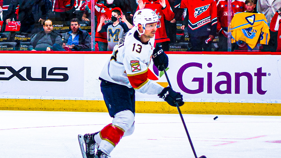 Florida panthers