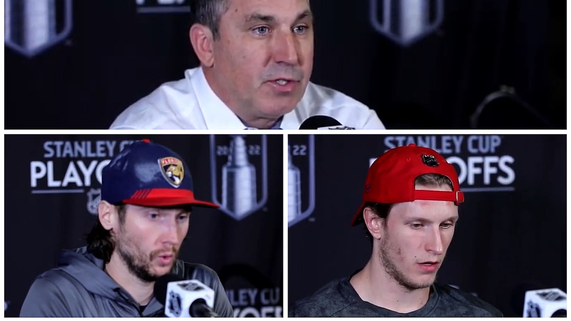 Florida panthers