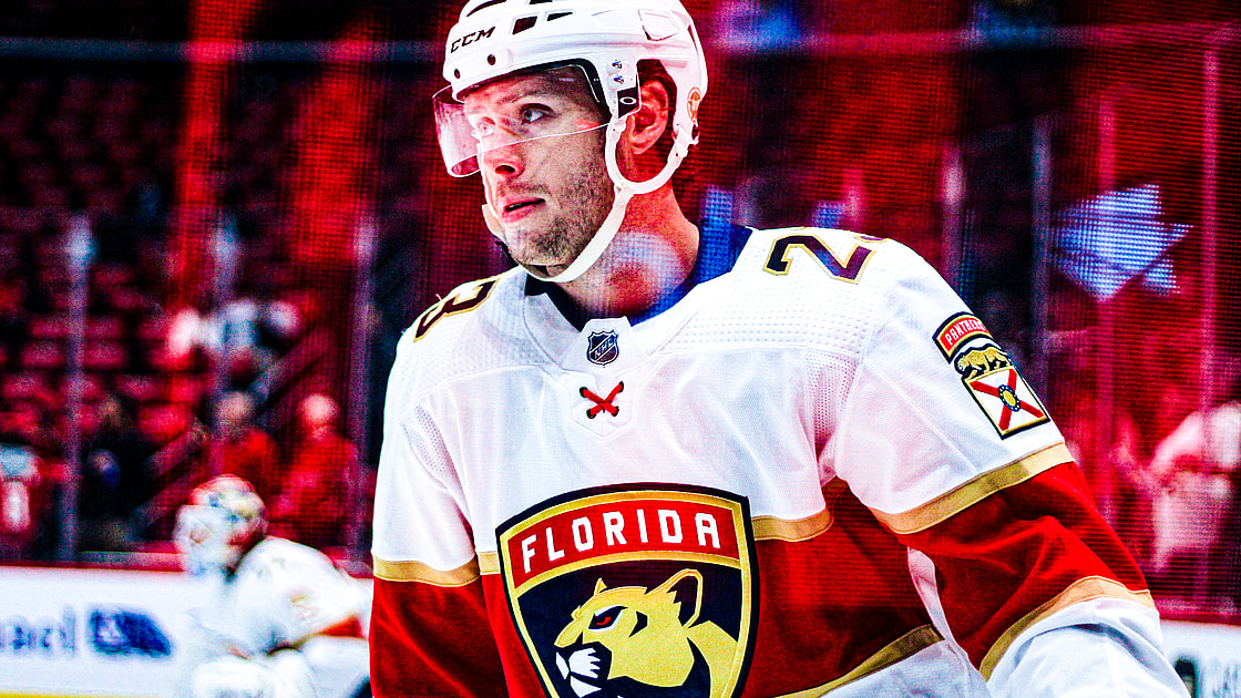 Florida panthers