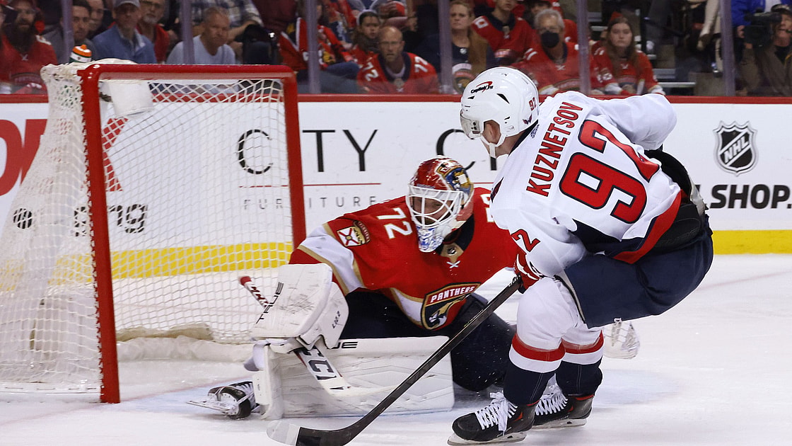 Florida panthers