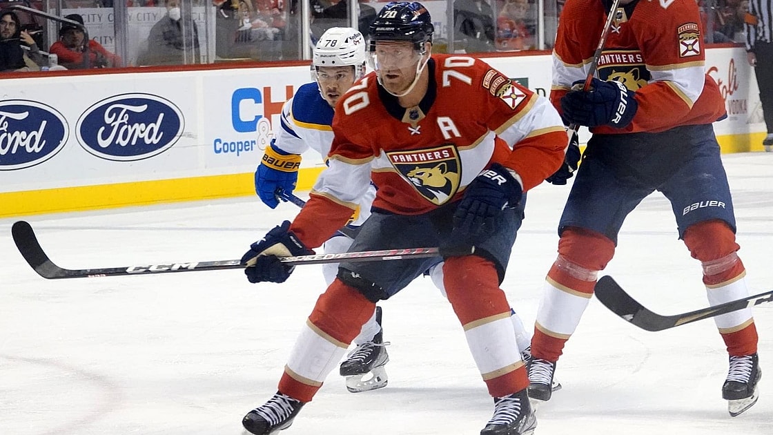 Florida panthers
