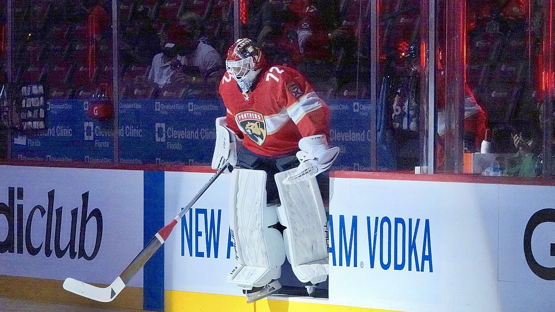 Florida panthers