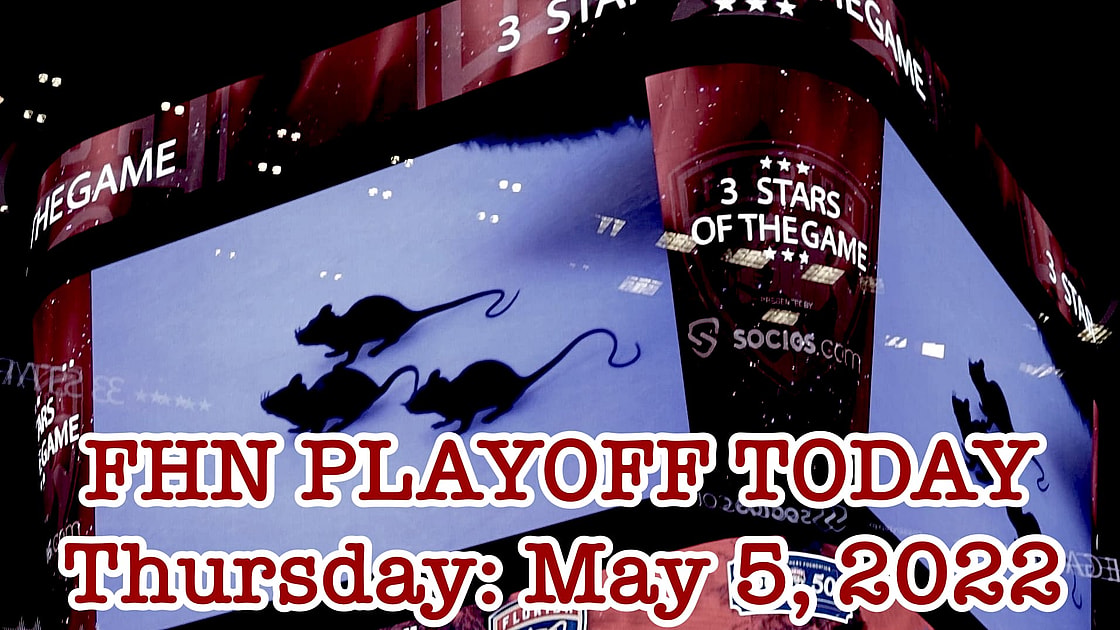 Florida panthers